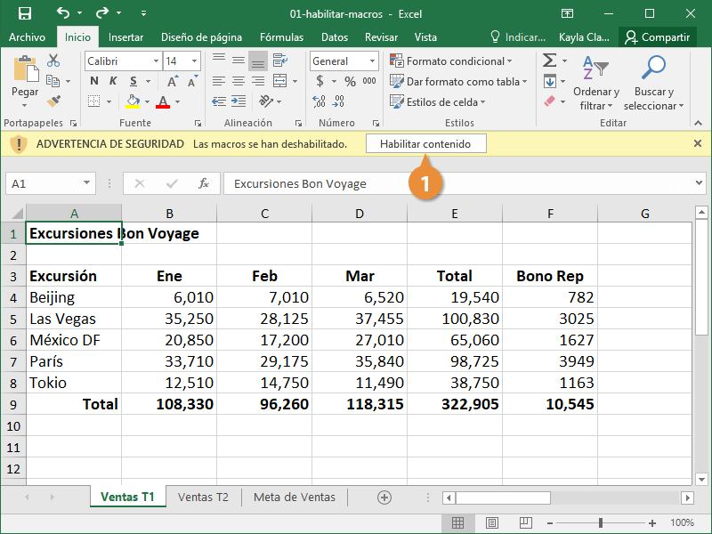 excel habilitar macros 01